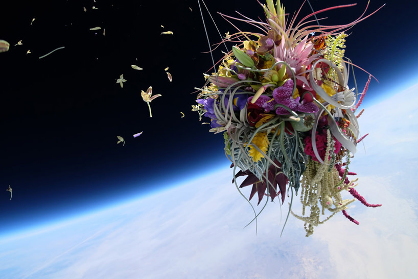 "宇宙に浮かぶ盆栽" という誰も見たことがない風景がここに。植物・上空30,000mの旅「EXOBIOTANICA」